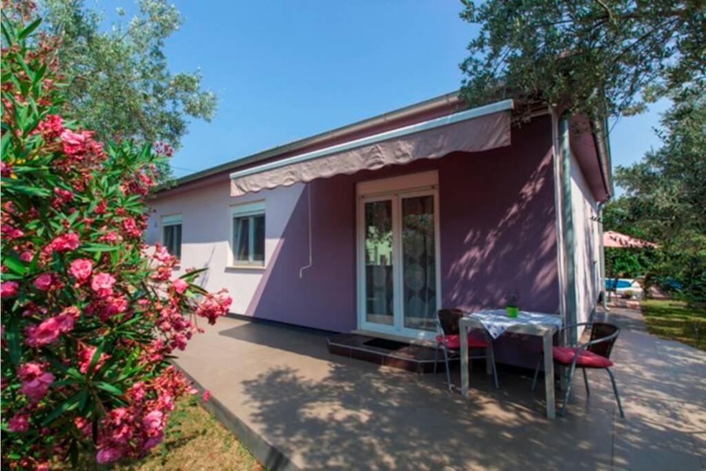 House Pelini Villa Pula Buitenkant foto